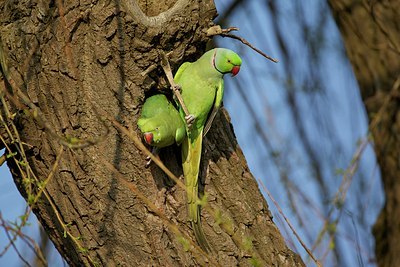 BUITEN BEELD Foto: 163315