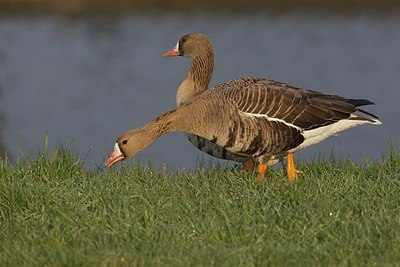 BUITEN BEELD Foto: 163343