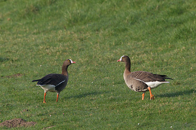 BUITEN BEELD Foto: 163351