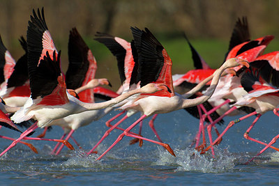 BUITEN BEELD Foto: 163382