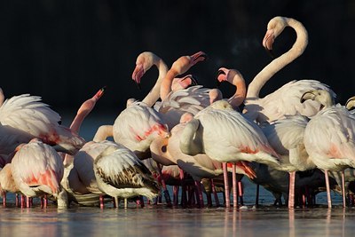 BUITEN BEELD Foto: 163383