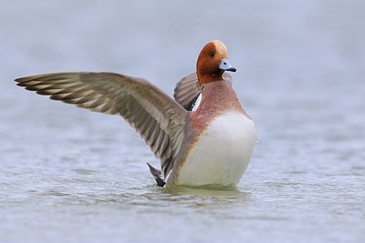 BUITEN BEELD Foto: 163415