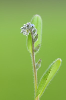 BUITEN BEELD Foto: 163462