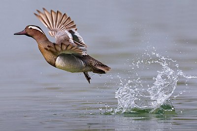 BUITEN BEELD Foto: 163571