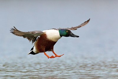 BUITEN BEELD Foto: 163602