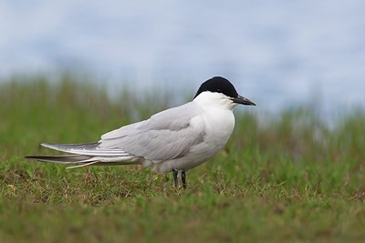 BUITEN BEELD Foto: 163740