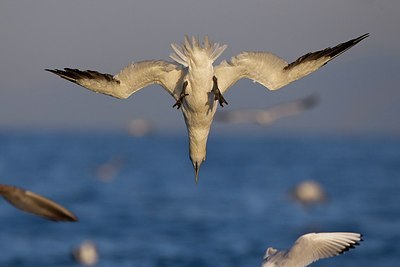 BUITEN BEELD Foto: 163783