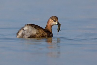 BUITEN BEELD Foto: 163815