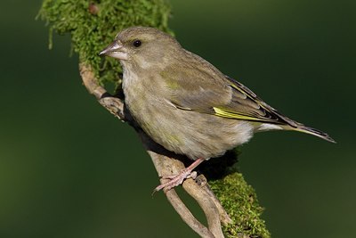 BUITEN BEELD Foto: 163830