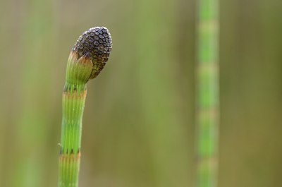 BUITEN BEELD Foto: 163869