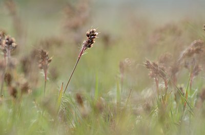 BUITEN BEELD Foto: 163871