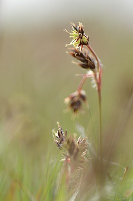 BUITEN BEELD Foto: 163874