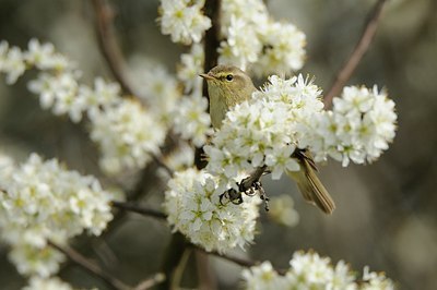 BUITEN BEELD Foto: 163885