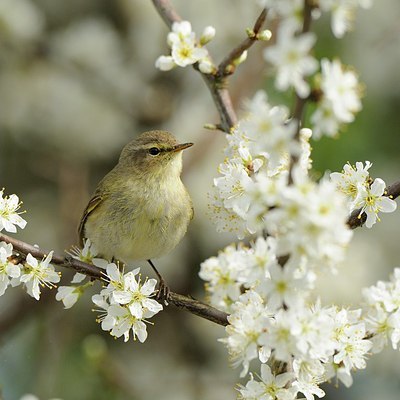 BUITEN BEELD Foto: 163888