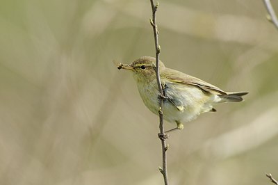 BUITEN BEELD Foto: 163889