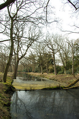 BUITEN BEELD Foto: 163906