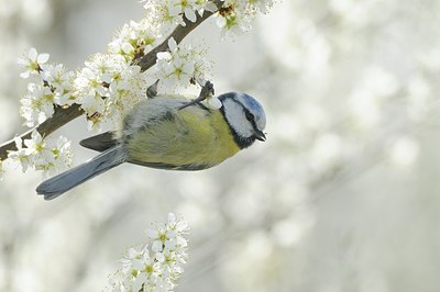 BUITEN BEELD Foto: 163925