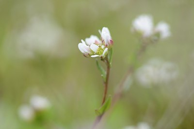 BUITEN BEELD Foto: 163929