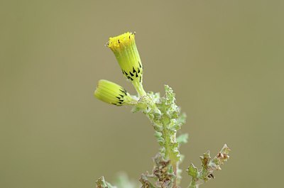 BUITEN BEELD Foto: 163935