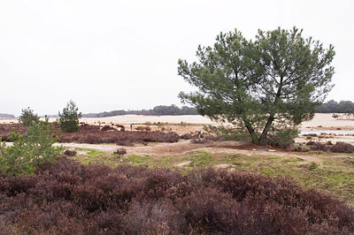BUITEN BEELD Foto: 163942