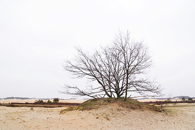 BUITEN BEELD Foto: 163943