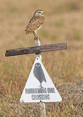 BUITEN BEELD Foto: 163993