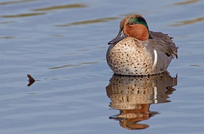 BUITEN BEELD Foto: 164005