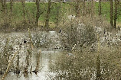 BUITEN BEELD Foto: 164065