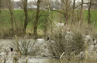 BUITEN BEELD Foto: 164066