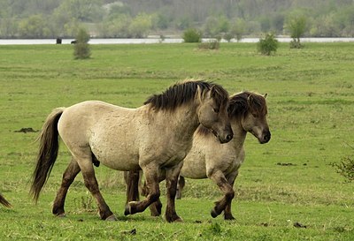 BUITEN BEELD Foto: 164068