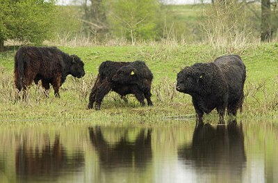 BUITEN BEELD Foto: 164072