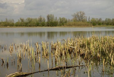 BUITEN BEELD Foto: 164083