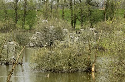 BUITEN BEELD Foto: 164086