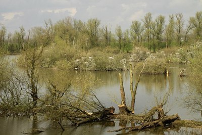 BUITEN BEELD Foto: 164088