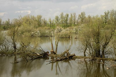 BUITEN BEELD Foto: 164089