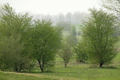 BUITEN BEELD Foto: 164091