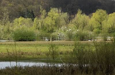 BUITEN BEELD Foto: 164093