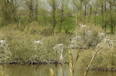 BUITEN BEELD Foto: 164098