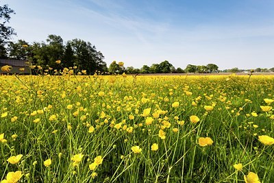 BUITEN BEELD Foto: 164106