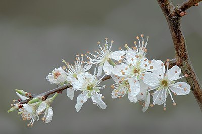 BUITEN BEELD Foto: 164120