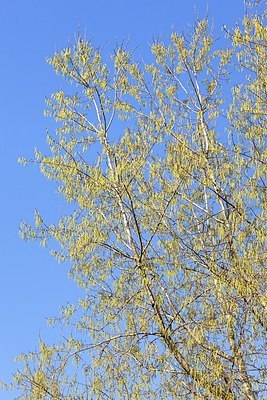 BUITEN BEELD Foto: 164125