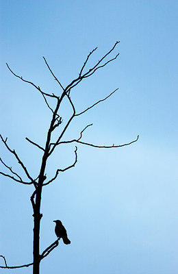 BUITEN BEELD Foto: 164139