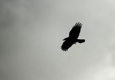 BUITEN BEELD Foto: 164144