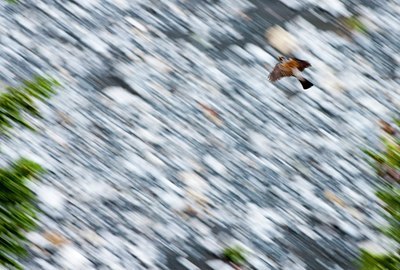 BUITEN BEELD Foto: 164145