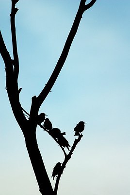 BUITEN BEELD Foto: 164150