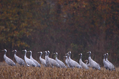 BUITEN BEELD Foto: 164210