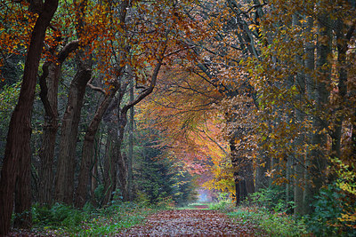 BUITEN BEELD Foto: 164216