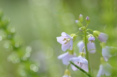 BUITEN BEELD Foto: 164252