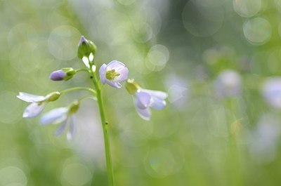 BUITEN BEELD Foto: 164255
