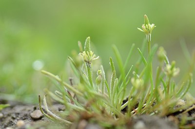 BUITEN BEELD Foto: 164261